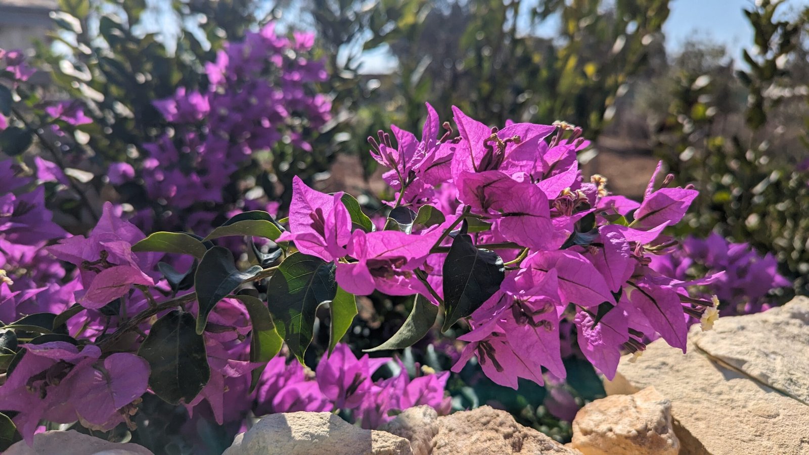 PXL_20241102_092353921